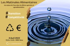 Matinale Alimentaire - eau