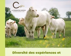 Visuel dossier construction des prix payés aux éleveurs