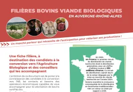 Visuel fiche filières bovins LCA ARA