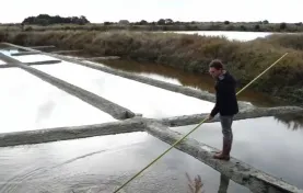 MaCoopMonConseiller - Sel de Guérande