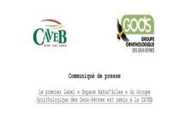 CP caveb label GODS