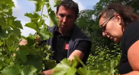 Ma Coop Mon Conseiller - Sauveterre