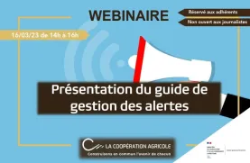Webinaire - Gestion des alertes