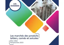 FAM visuel marché carné 2023