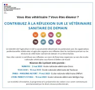 réunions maillage vétérinaire