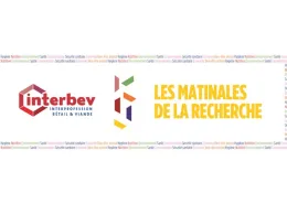 Matinales de la recherche 2023