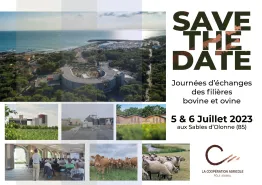 Std journées bovine et ovine 2023