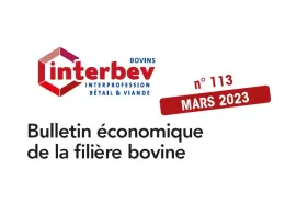 Visuel bulletin eco bovin mars 2023