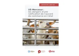 visuel rapport mercosur