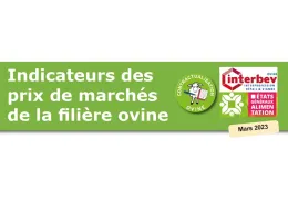 Visuel cout de prod ovin mars 2023