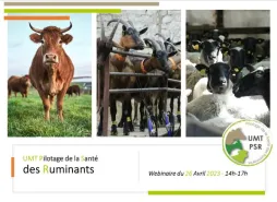 Le prochain webinaire de l'UMT PSR - 26 avril 2023