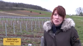 Emilie Legros, technicienne viticole