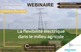 Webinaire flexibilité electrique