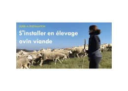 Guide installation ovine