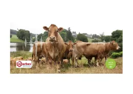 podcacst Interbev modele herbager