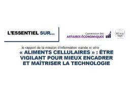 Rapport d'information du sénat