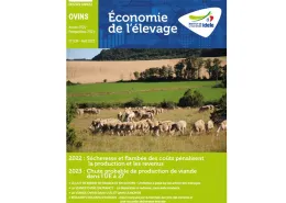 Dossier annuel ovin 2023