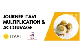 ITAVI journée 2023 accouvage