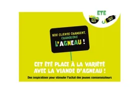 Livret été ovins 2023