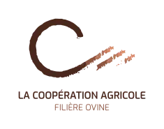 lolo filière ovine
