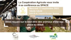 Space Rennes