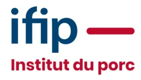 ifip logo