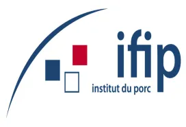 ifip