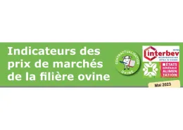 indicateur ovin mai 2023