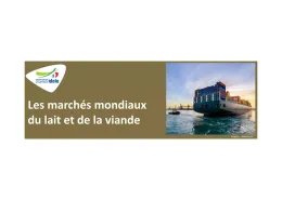 marchés mondiaux viandes idele2023.JPG 
