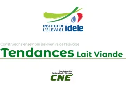 Tendances lait viande