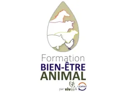Formation BEA VIVEA OCAPIAT
