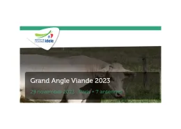 GV 2023