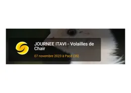 Itavi