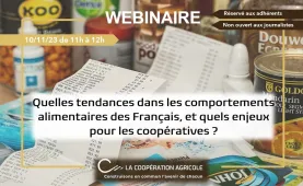 Webinaire tendance consommation français