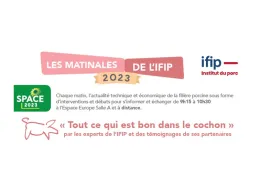 IFIP Matinales