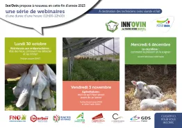 INNOVIN webi 2023