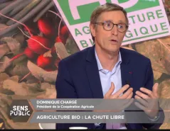 Dominique Chargé - Public Sénat