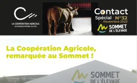 CONTACT LCA ARA SOMMET