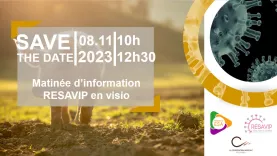 save the date resavip 