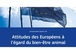 Eurobaromètre BEA