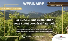 Webinaire DAS - UJVR