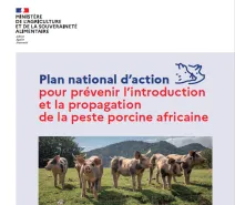 Plan d'action PPA