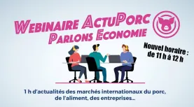 webi ifip