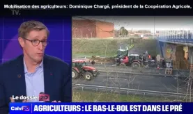 Dominique Chargé - Calvi 3D