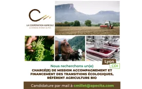 LCA ARA recrute