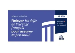 cese avis elevage