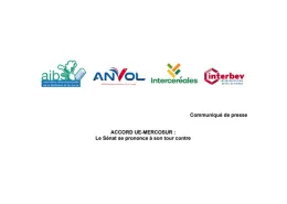 CP mercosur