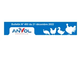 INTERFILIERE493