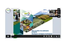 replay webi greensheep
