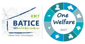 RMT